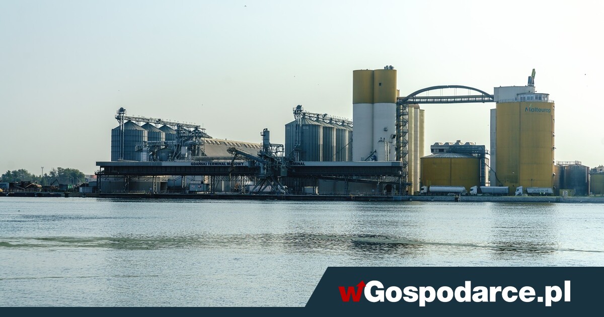 Nowy terminal zbożowy w Gdańsku w połowie drogi