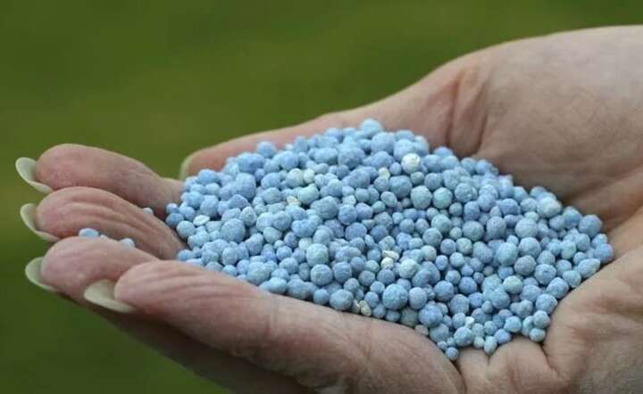 Gdy nabierzemy podejrzeń co do kupionego w dobrej wierze produktu, powinniśmy zawiadomić odpowiednie organy. / autor: Pixabay