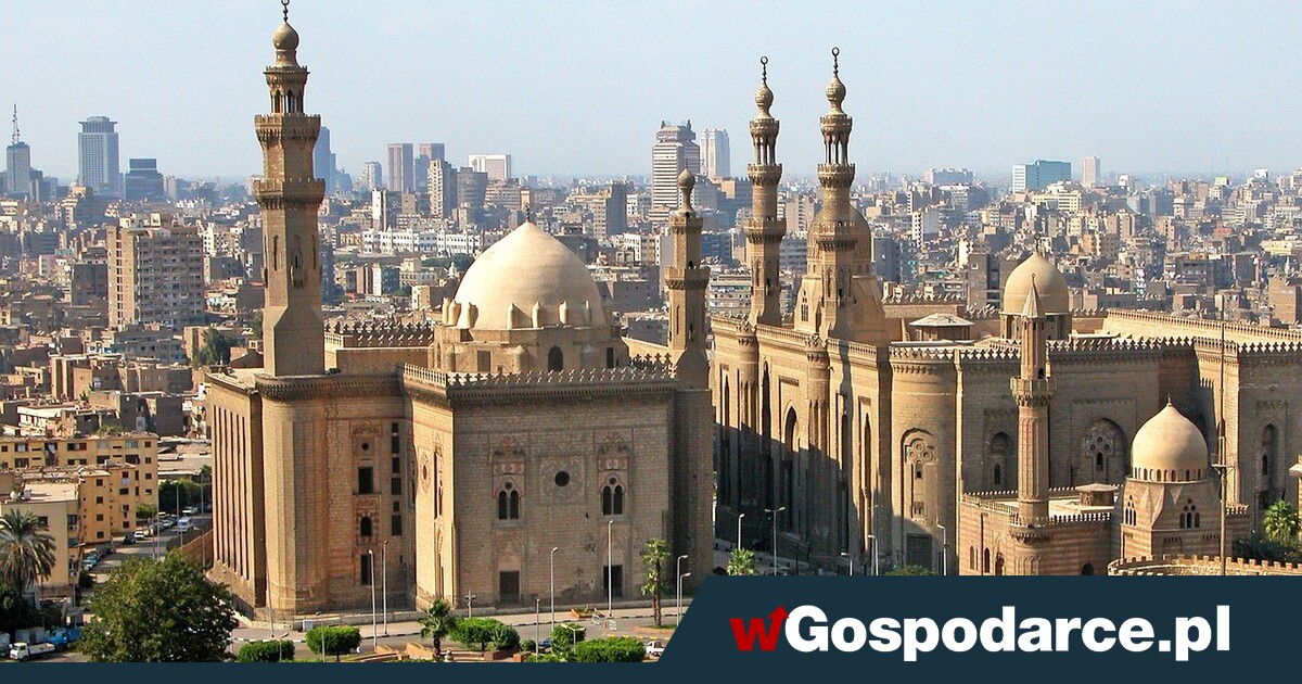 Egipt nowym rynkiem dla polskiego zboża
