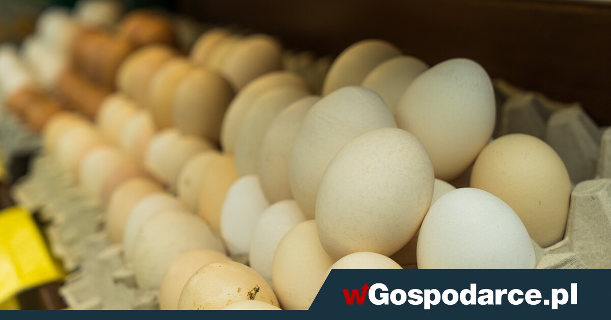 W sklepach masowo brakuje jajek!