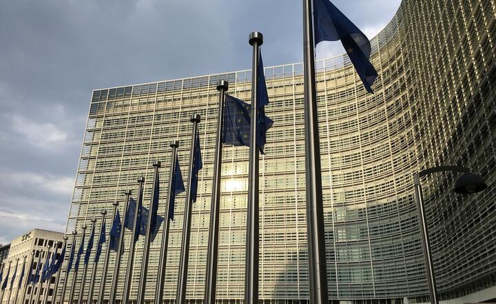Komisja Europejska proponuje nowy fundusz do inwestowania w strategiczne spółki / autor: Pixabay