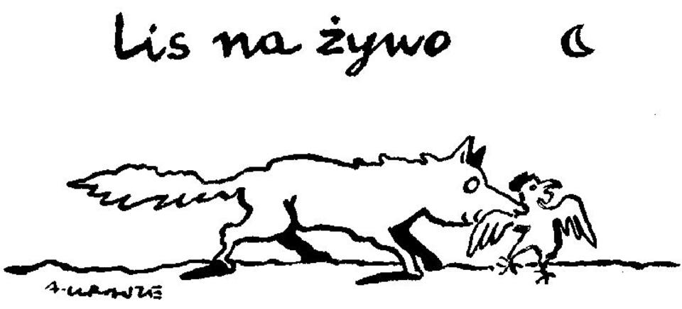 Rys. Andrzej Krauze