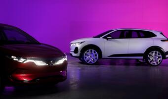 Polacy chcą własnej marki samochodów elektrycznych