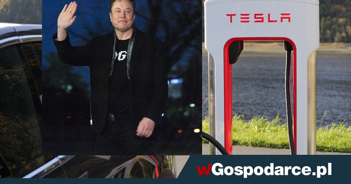 29 miliardów stracił w jeden dzień. "Akcje Tesli nurkują"