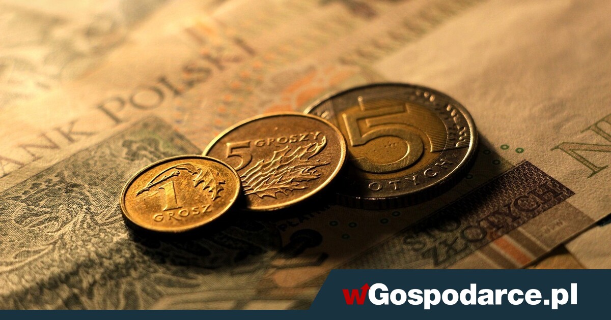 Złoty bardziej zerka na dolara, niż na RPP