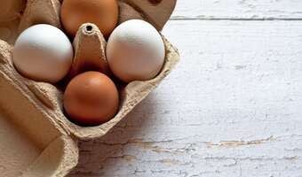 KE: cła na import jaj z Ukrainy w ciągu dwóch tygodni