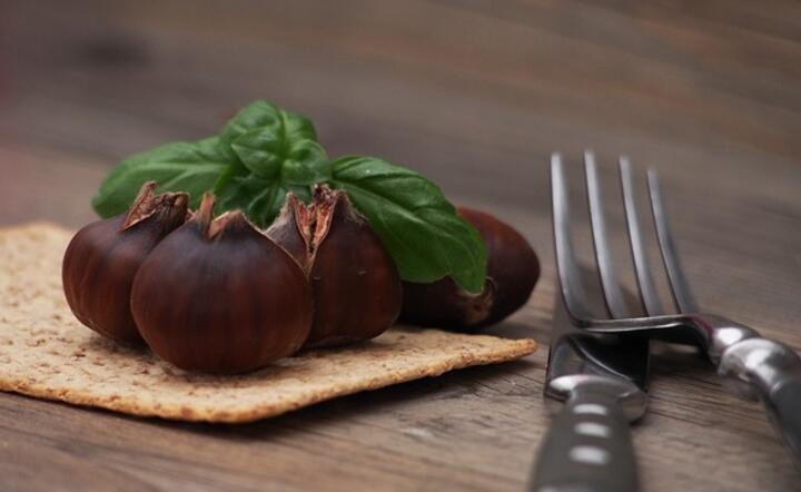 kasztany jadalne / autor: pixabay