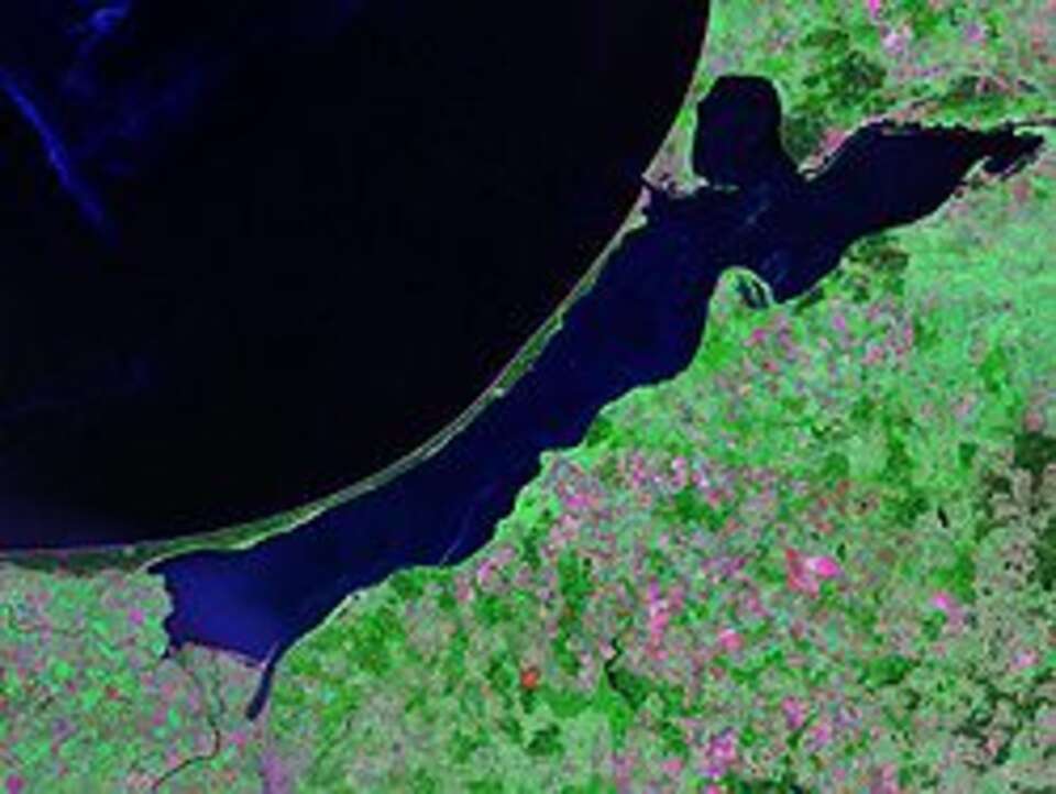 Fot. Wikipedia.pl