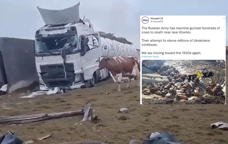 Wojsko doszczętnie zniszczyło farmę mleczną w pobliżu Charkowa / autor: screenshot Twitter NEXTA, visegrad24