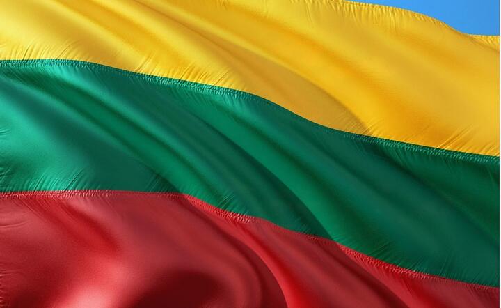 Flaga Litwy / autor: Pixabay