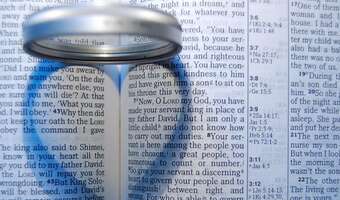 Druga płeć, drugie dno - ustawa o uzgodnieniu płci może służyć aferzystom do uniknięcia odpowiedzialności