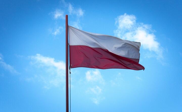 Polska wiceliderem, Polskę wybierają inwestorzy