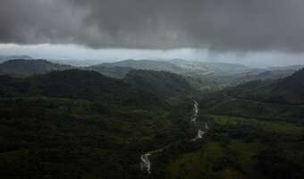 Potentat Mercosur będzie ciął lasy Amazonii na całego