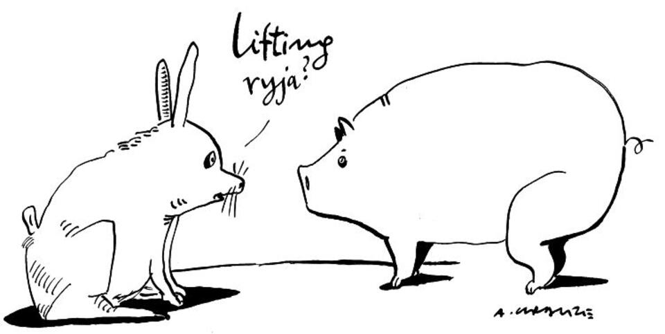 Rys. Andrzej Krauze, "LIFTING"