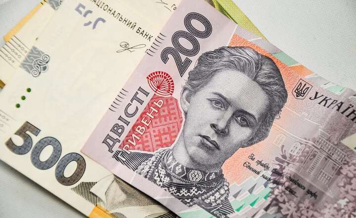 Dewaluacja ukraińskiej hrywny punktem zapalnym między władzami monetarnymi Ukrainy a MFW / autor: Pixabay