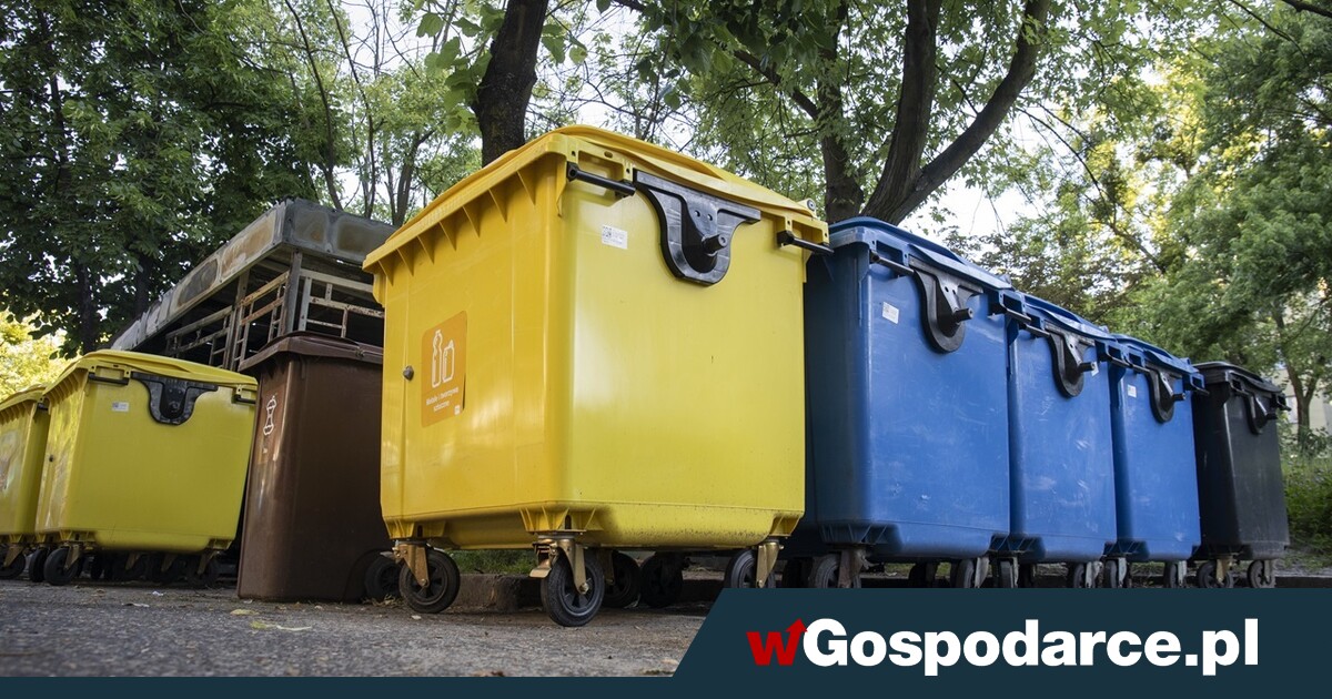 Zrobisz błąd w segregacji śmieci? Gmina będzie karać