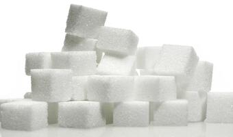 Kilogram cukru już poniżej 2 zł. To zły trend dla branży cukrowniczej