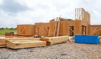 W tej spółce nie będzie Lasów Państwowych