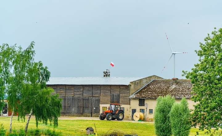 Projekt PSL miał docelowo finansowo zagłodzić 600 tys. gospodarstw rolnych / autor: Fratria /AS