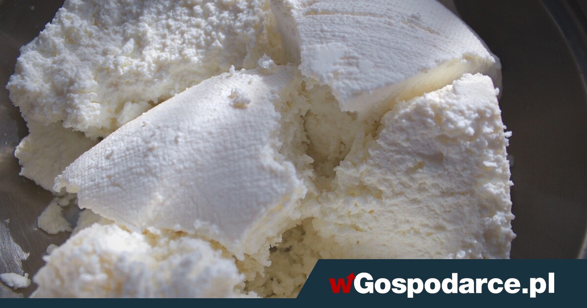 Twaróg czy serek wiejski – co wybrać?