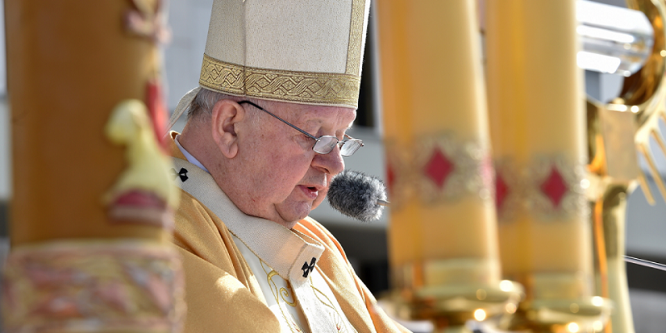 Fot. PAP/Jacek Bednarczyk