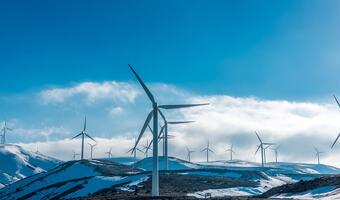 Niemcy wydały rozkaz: do 5 nowych turbin wiatrowych dziennie