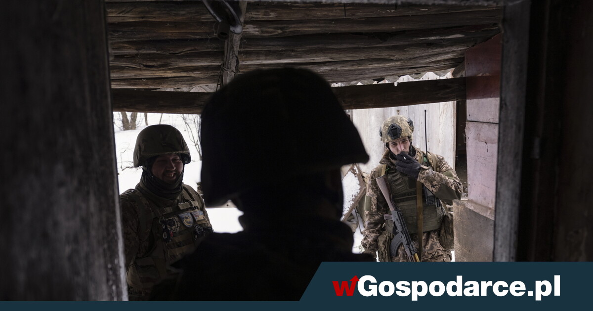 Jak zmartwychwstał „White Rex”, wart pół miliona dolarów