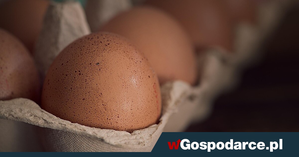 Jaja drożeją i będą drożeć