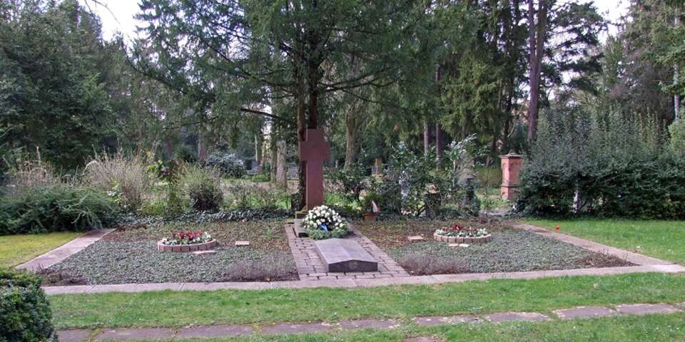 Fot. Dontworry/CC/Wikimedia Commons