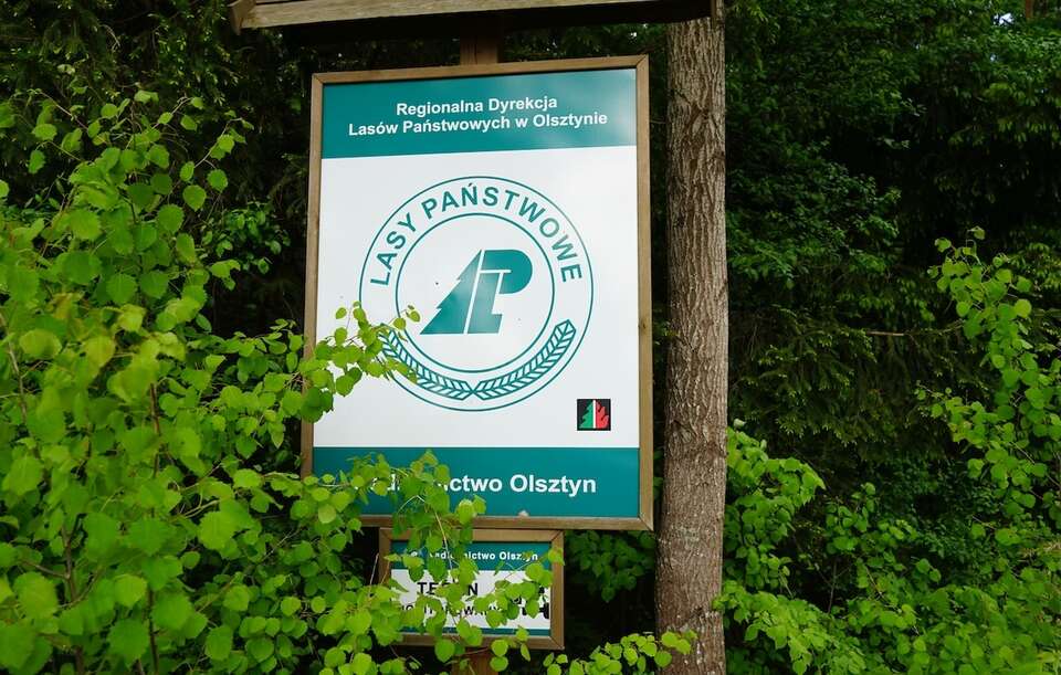 Działania resortu klimatu przyniosą paraliż gospodarki leśnej
