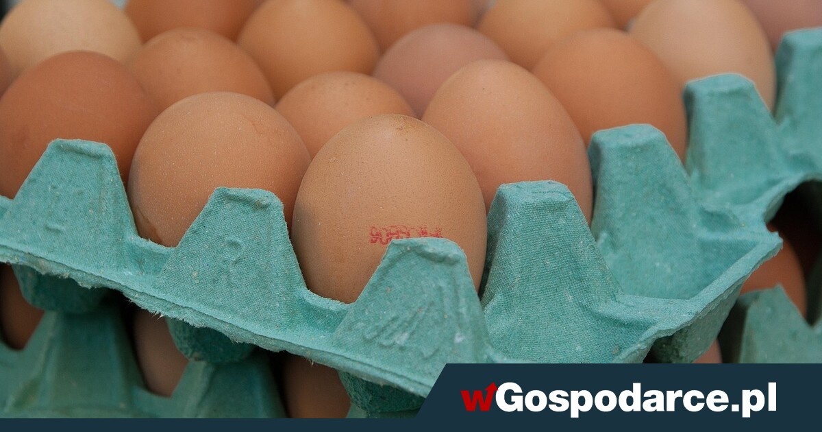 Te ceny jaj to nie primaaprilisowy żart!