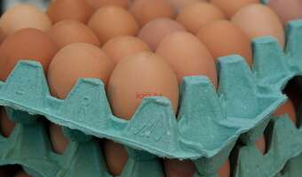 Te ceny jaj to nie primaaprilisowy żart!