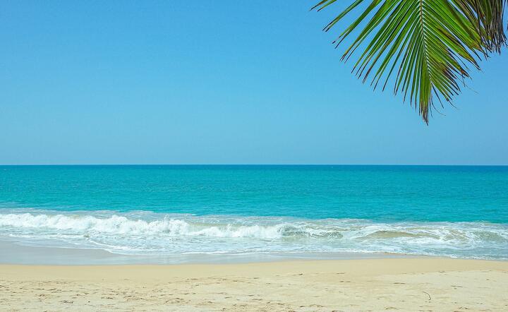 Sri Lanka, Ocean Indyjski / autor: Pixabay