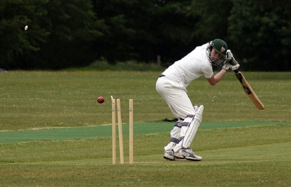 Fot. Lemonlolly/CC/Wikimedia Commons