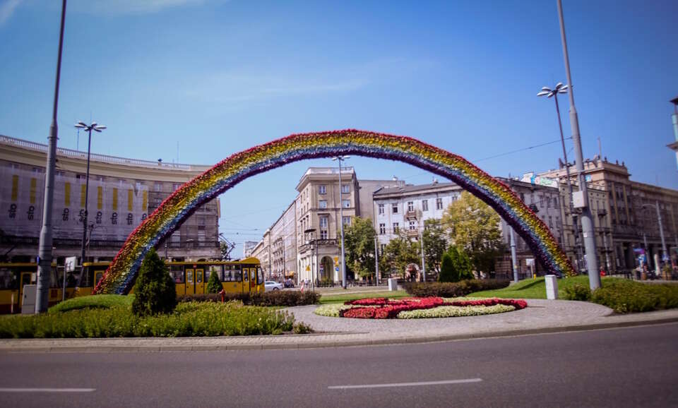 autor: Julita Szewczyk