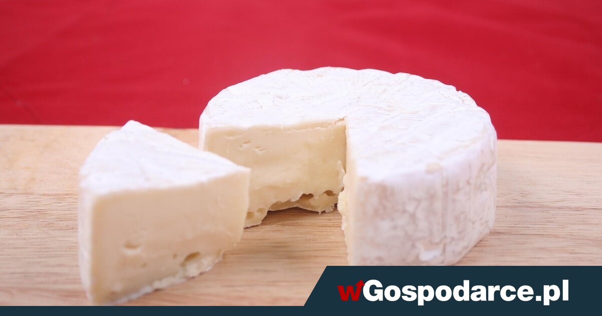 Moda na dietę bezlaktozową – czy to się opłaca?