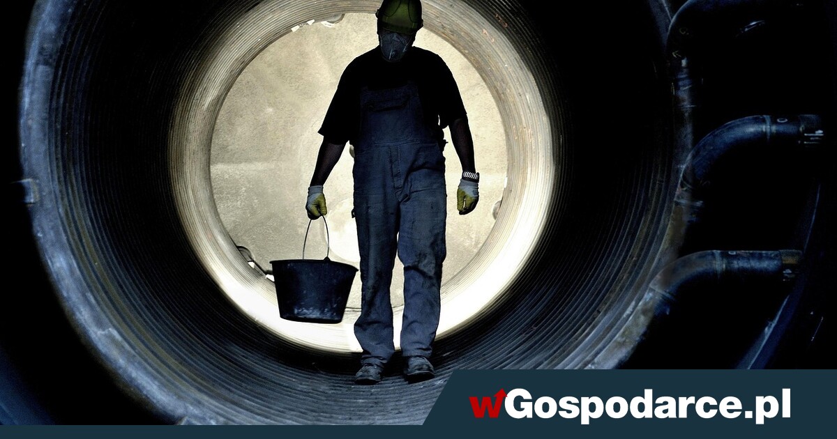 Wiosenne ożywienie na rynku pracy. Także dla Ukraińców