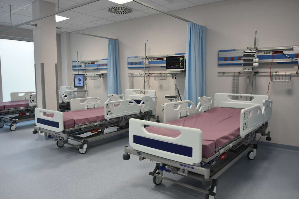 autor: Liudmyla Kazakova