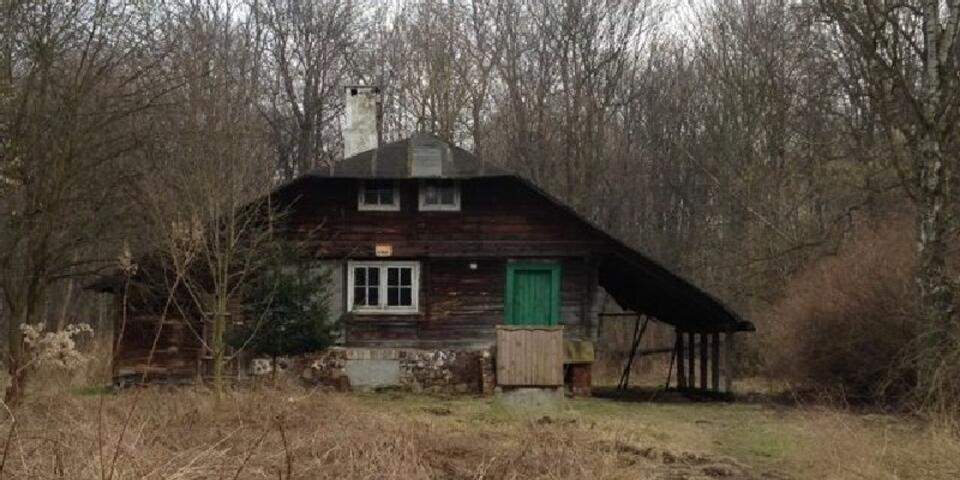 Fot. Andżelika Brzozowska-Przybek