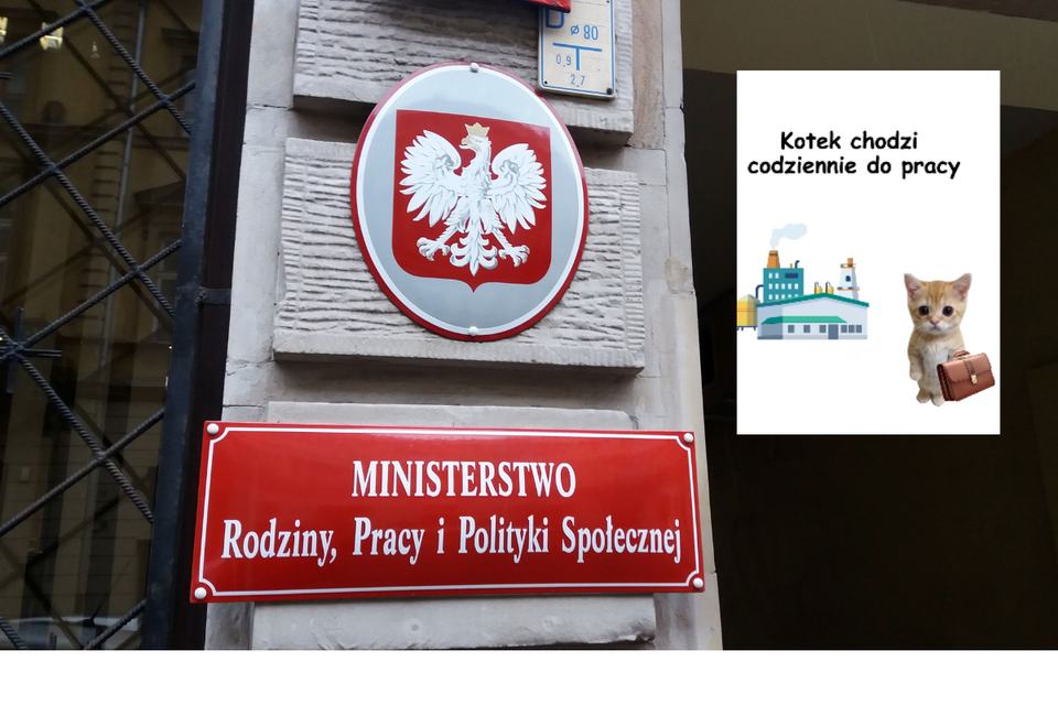 Reforma PIP. Ministerstwo opublikowało kuriozalny filmik