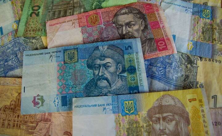 Ukraińska waluta hrywna / autor: Pixabay