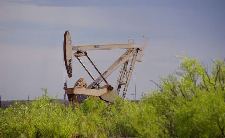 Ropa znowu zaczęła tanieć / autor: Pixabay