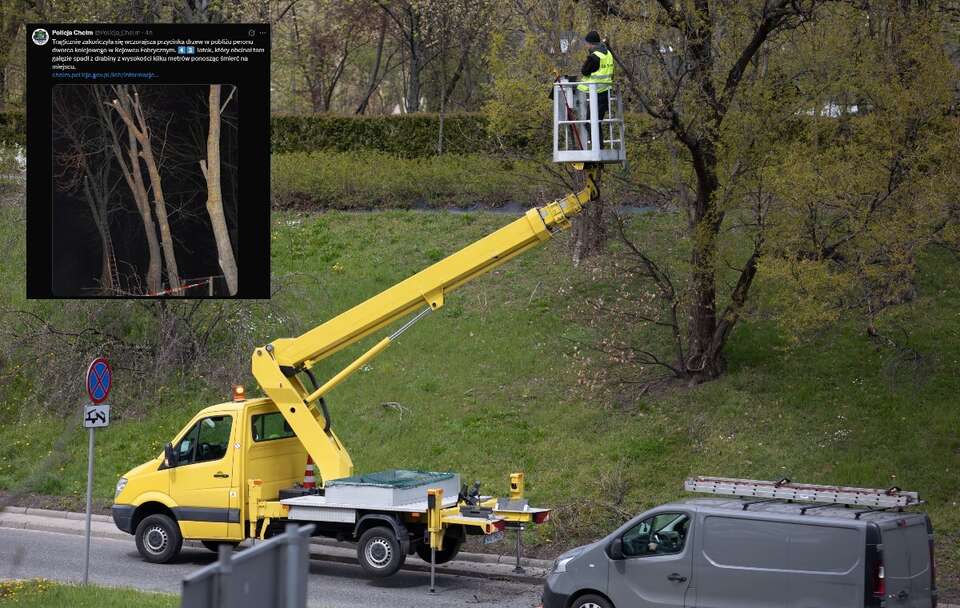 Zdjęcie ilustracyjne; Wiosenne przycinanie drzew / autor: Fratria/X/@Policja_Chelm
