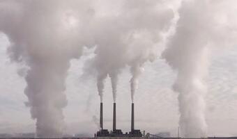 Koronawirus spowoduje rekordowy spadek emisji CO2