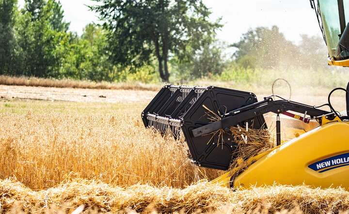 Wiosenne przymrozki i susza spowodowały spadek plonów zbóż w bieżącym roku / autor: Pixabay