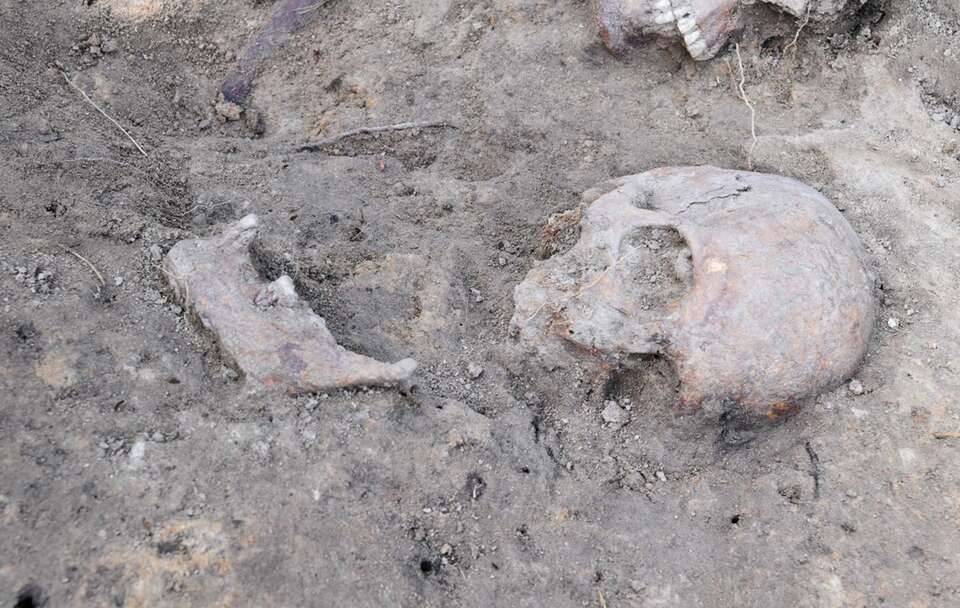 autor: X Instytut Pamięci Narodowej