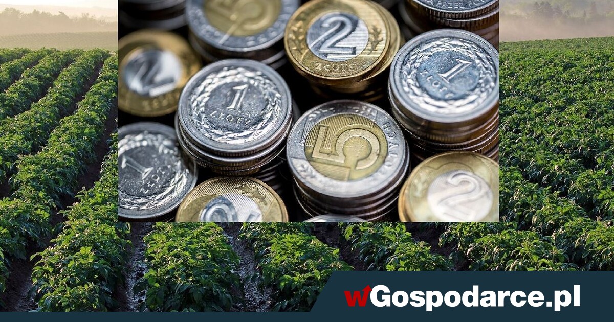 Rolnicy chcą własnego banku