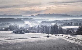 Italia: Zima uderzyła w rolnictwo