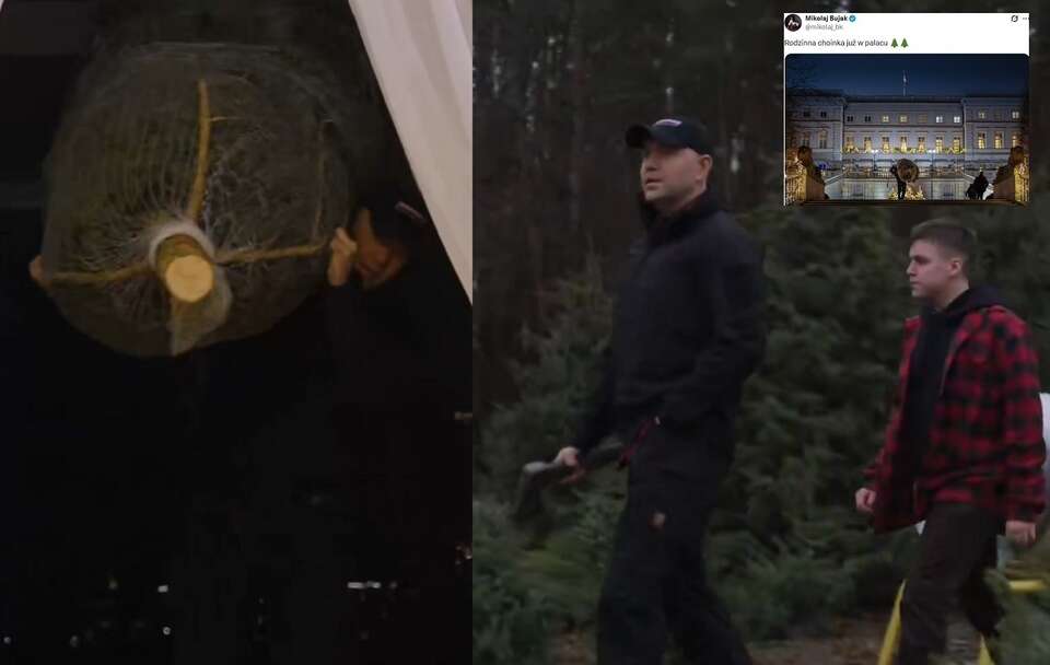 Prezydent Nawrocki sam wyciął i przyniósł choinkę do Pałacu!