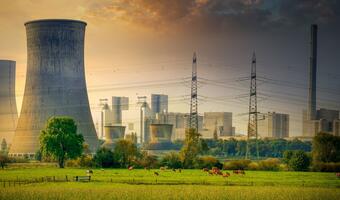 Rząd Holandii zapowiada budowę dwóch elektrowni atomowych